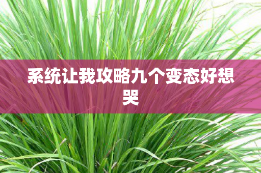 系统让我攻略九个变态好想哭图片