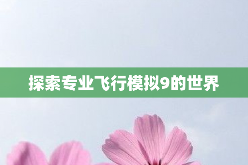 探索专业飞行模拟9的世界图片