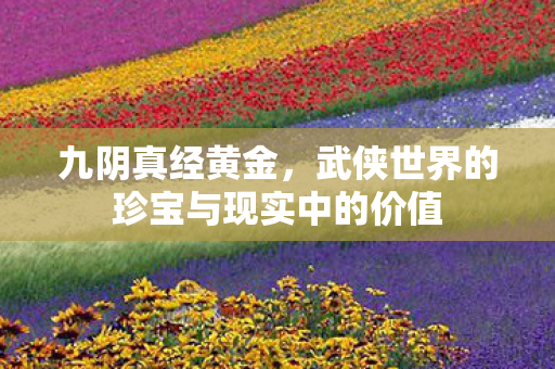 武侠世界的珍宝与现实中的价值图片