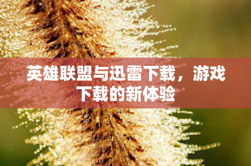 英雄联盟与迅雷下载图片