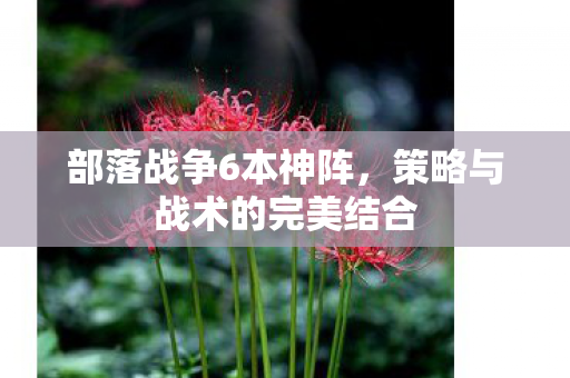 策略与战术的完美结合图片