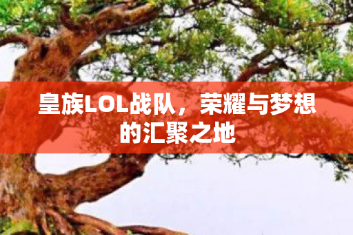 荣耀与梦想的汇聚之地图片