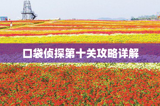 口袋侦探第十关攻略详解图片