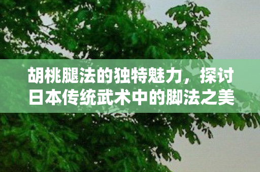 探讨日本传统武术中的脚法之美图片
