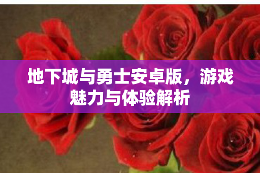地下城与勇士安卓版图片