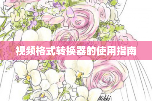 视频格式转换器的使用指南图片
