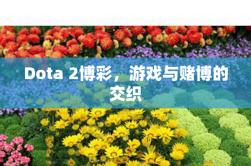 Dota 2博彩图片