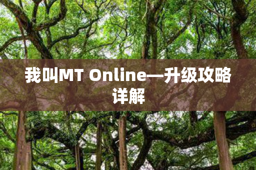 我叫MT Online图片