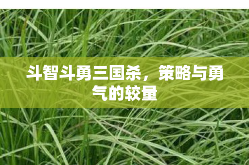 策略与勇气的较量图片