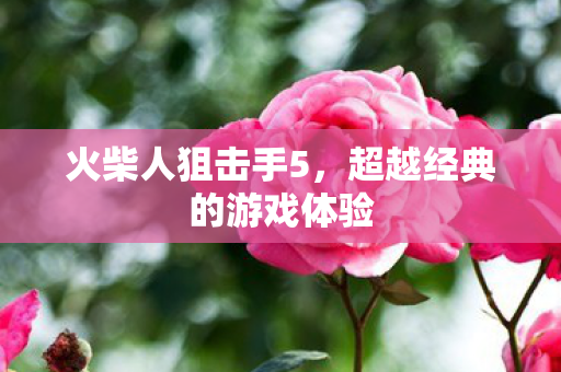 超越经典的游戏体验图片