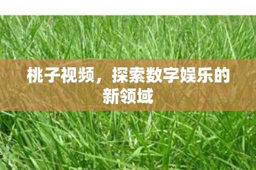 探索数字娱乐的新领域图片