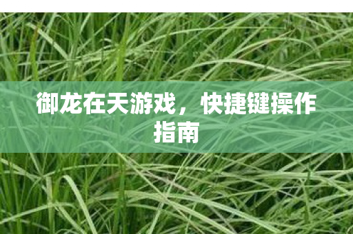 快捷键操作指南图片