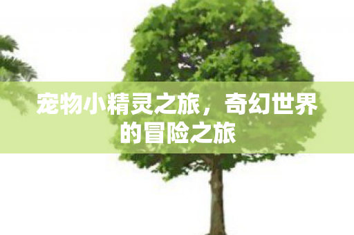 奇幻世界的冒险之旅图片