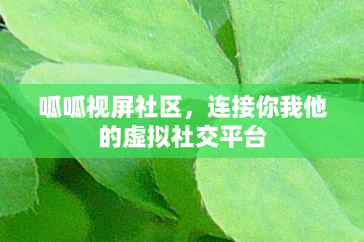 连接你我他的虚拟社交平台图片