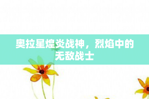 烈焰中的无敌战士图片