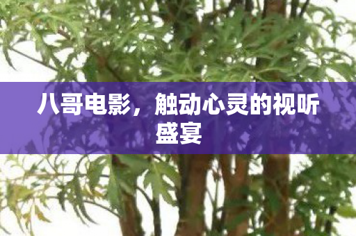 触动心灵的视听盛宴图片