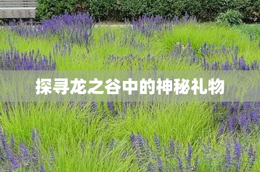 探寻龙之谷中的神秘礼物图片