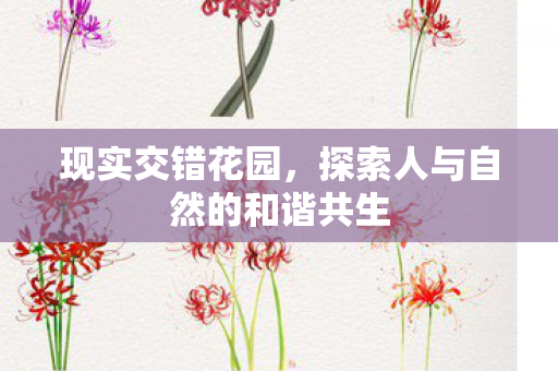 探索人与自然的和谐共生图片