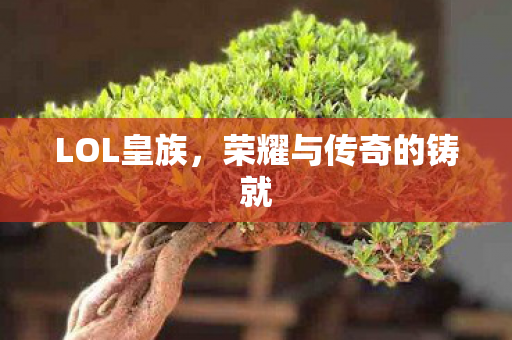 荣耀与传奇的铸就图片