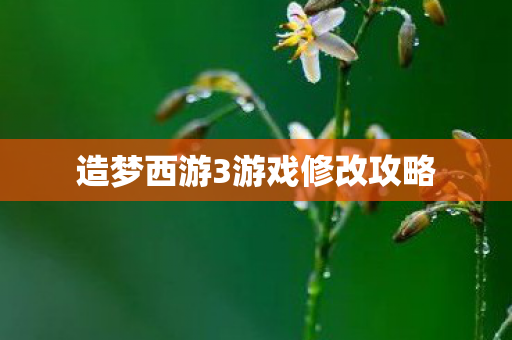 造梦西游3游戏修改攻略图片