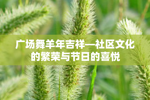 社区文化的繁荣与节日的喜悦图片