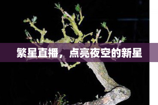 点亮夜空的新星图片