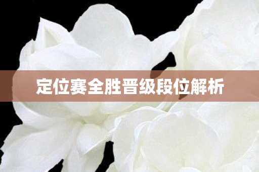 定位赛全胜晋级段位解析图片