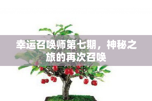 神秘之旅的再次召唤图片