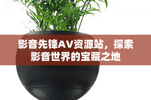 探索影音世界的宝藏之地图片
