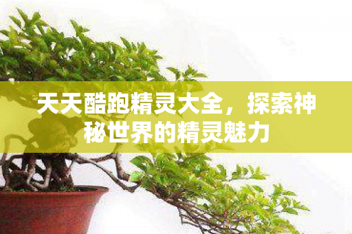 探索神秘世界的精灵魅力图片