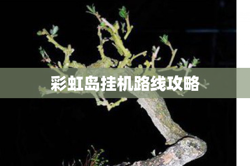 彩虹岛挂机路线攻略图片