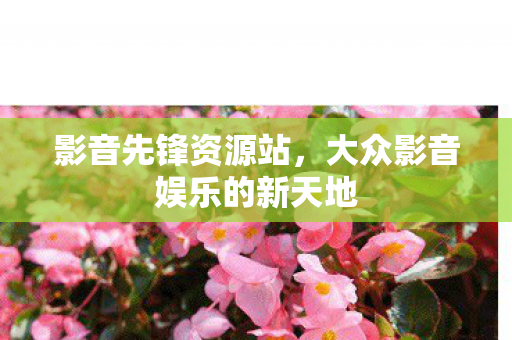 大众影音娱乐的新天地图片