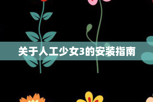 关于人工少女3的安装指南图片