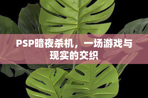 一场游戏与现实的交织图片