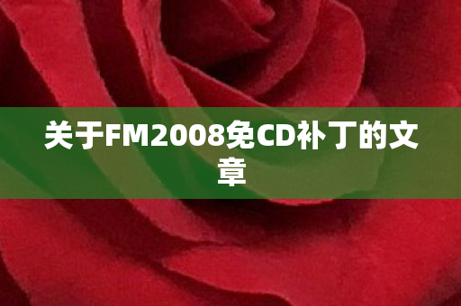 关于FM2008免CD补丁的文章图片
