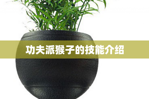 功夫派猴子的技能介绍图片