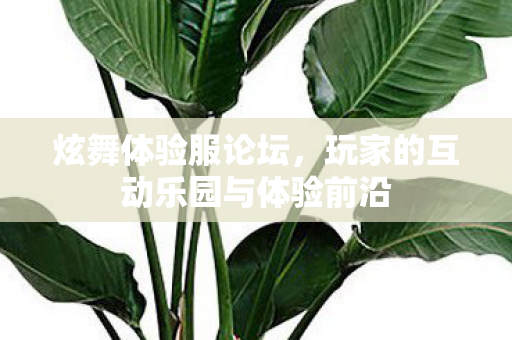 玩家的互动乐园与体验前沿图片