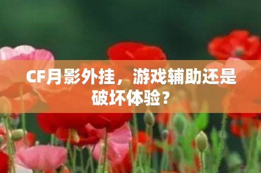 游戏辅助还是破坏体验图片