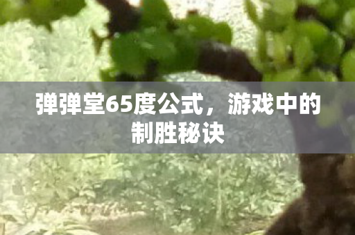 弹弹堂65度公式图片