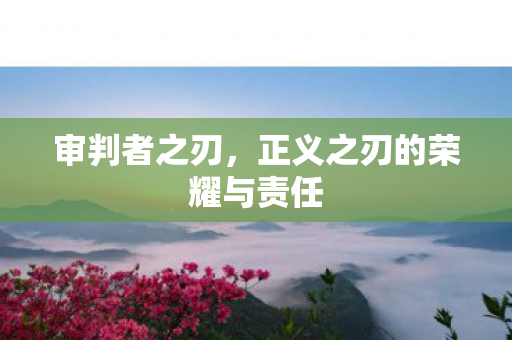 正义之刃的荣耀与责任图片