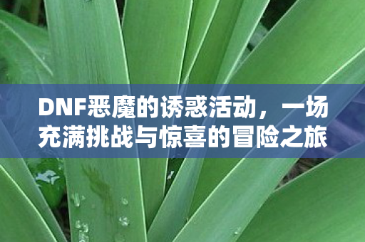 一场充满挑战与惊喜的冒险之旅图片