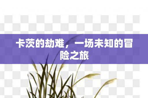 一场未知的冒险之旅图片