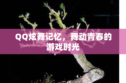 舞动青春的游戏时光图片
