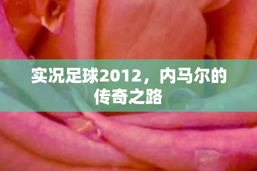 实况足球2012图片