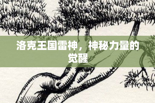 神秘力量的觉醒图片
