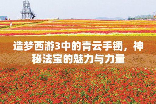 造梦西游3中的青云手镯图片