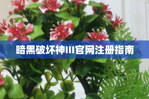 暗黑破坏神III官网注册指南图片