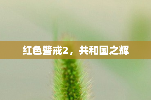 红色警戒2图片