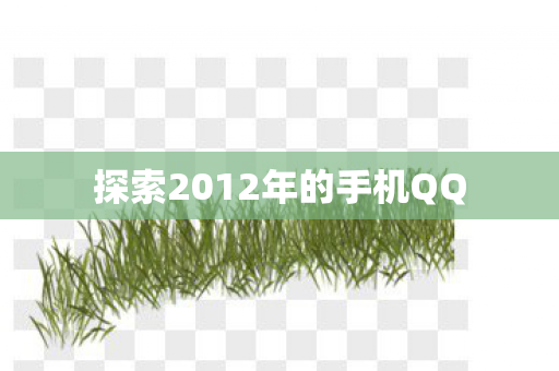 探索2012年的手机QQ图片