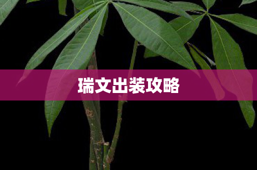 瑞文出装攻略图片